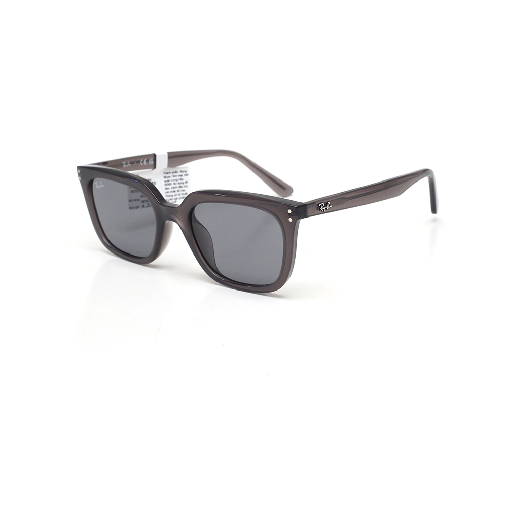 Kính mát RayBan RB4439D  6675/87 
